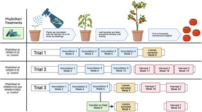 Phyllosphere microbial associations improve plant reproductive success